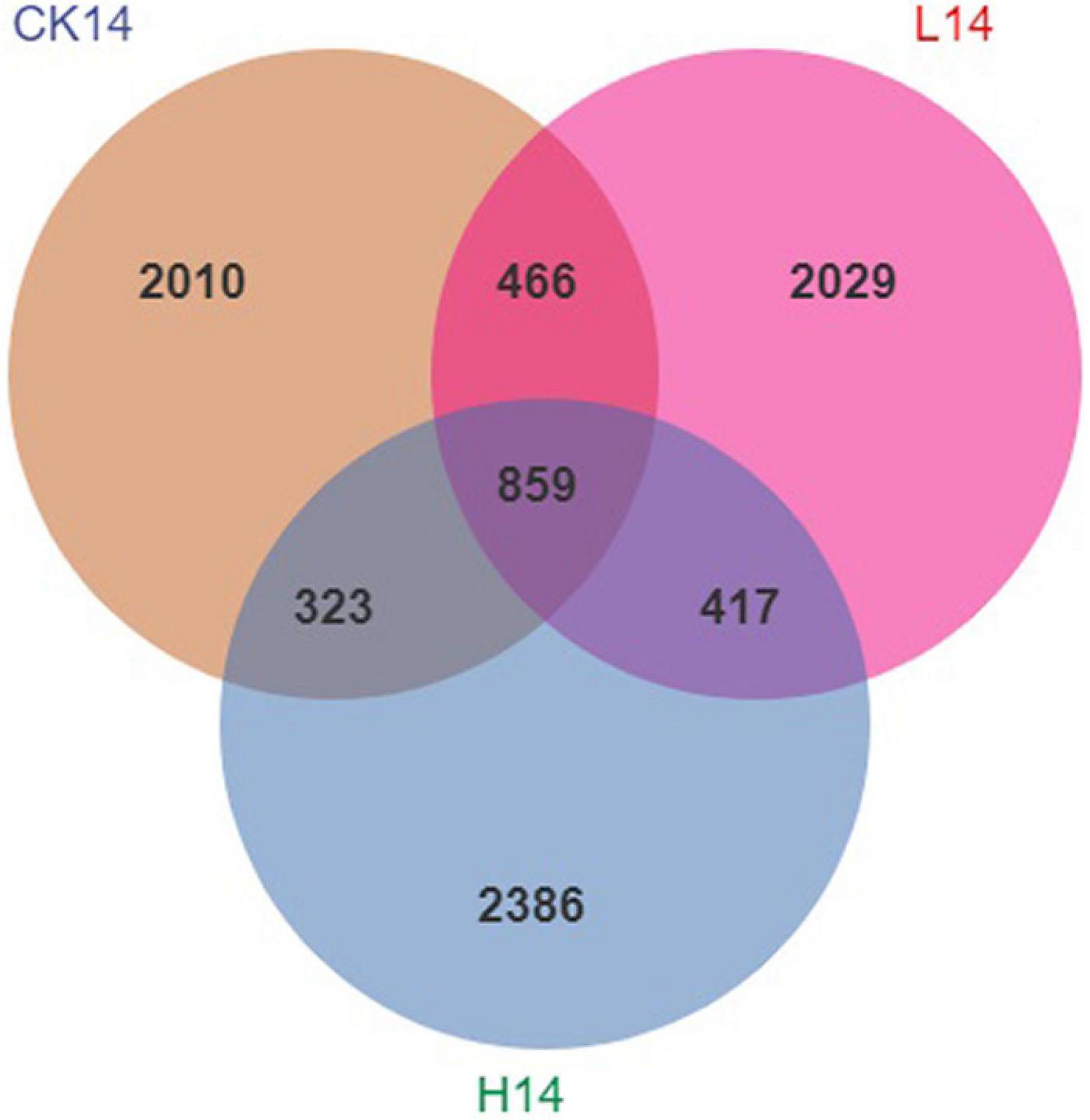 Frontiers | Effects of cadmium exposure on intestinal microflora 