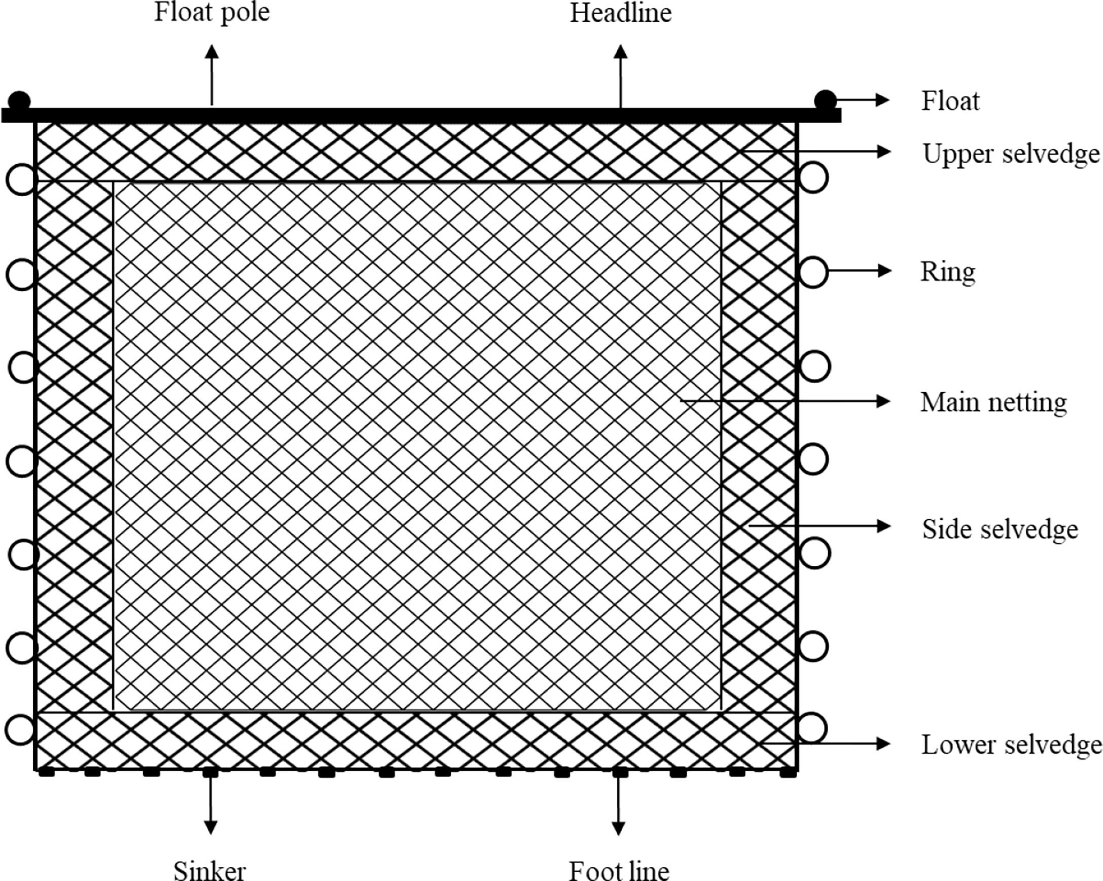 Frontiers  Numerical and experimental investigation on hydrodynamic  performance of the stick-held dip net in Pacific saury fishery