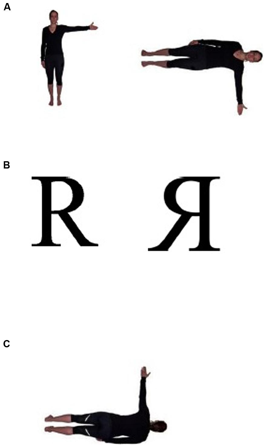 www.frontiersin.org