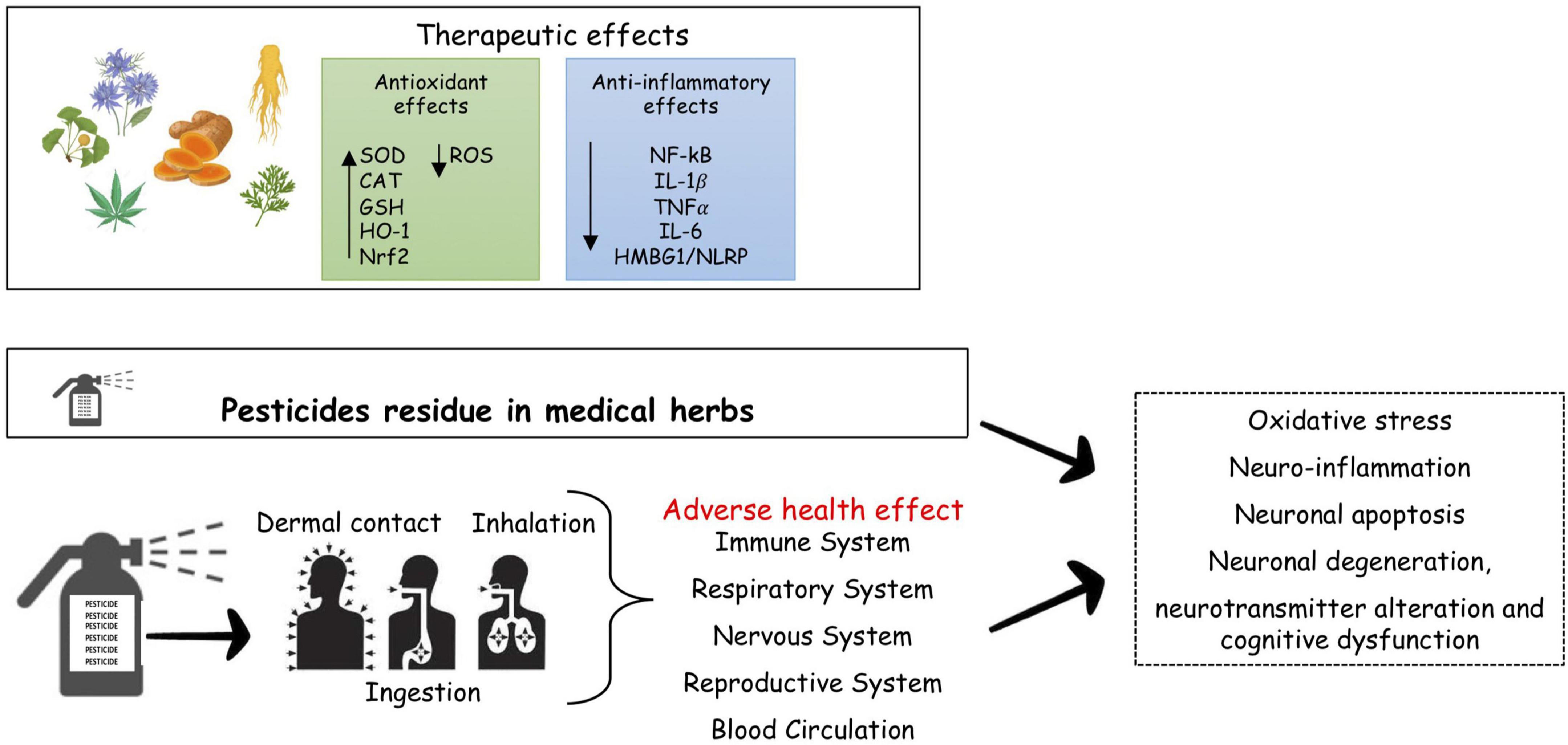 Frontiers  Therapeutic Advances in Multiple Sclerosis