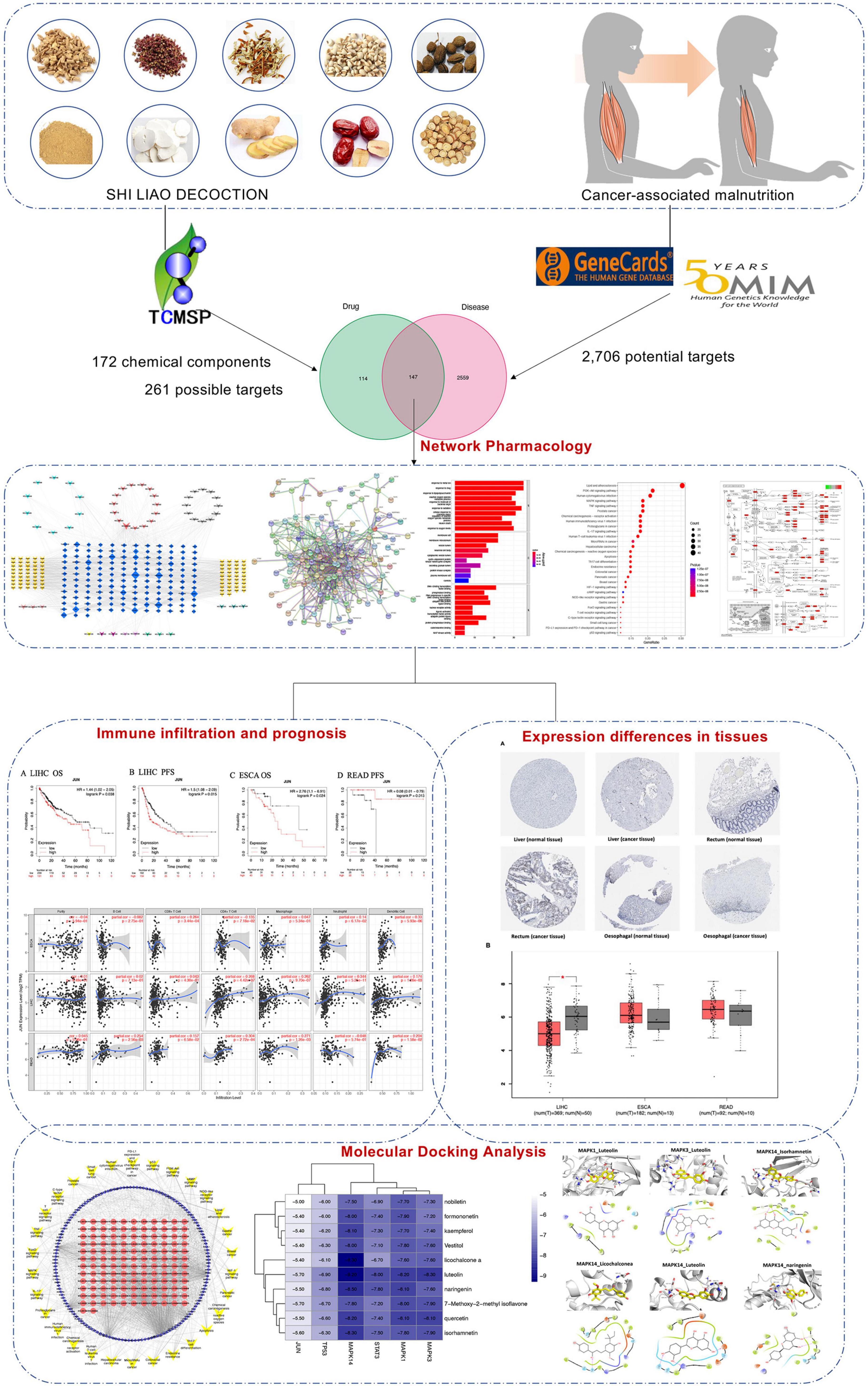 Frontiers exploration of the potential mechanism of qi yin, 54% off
