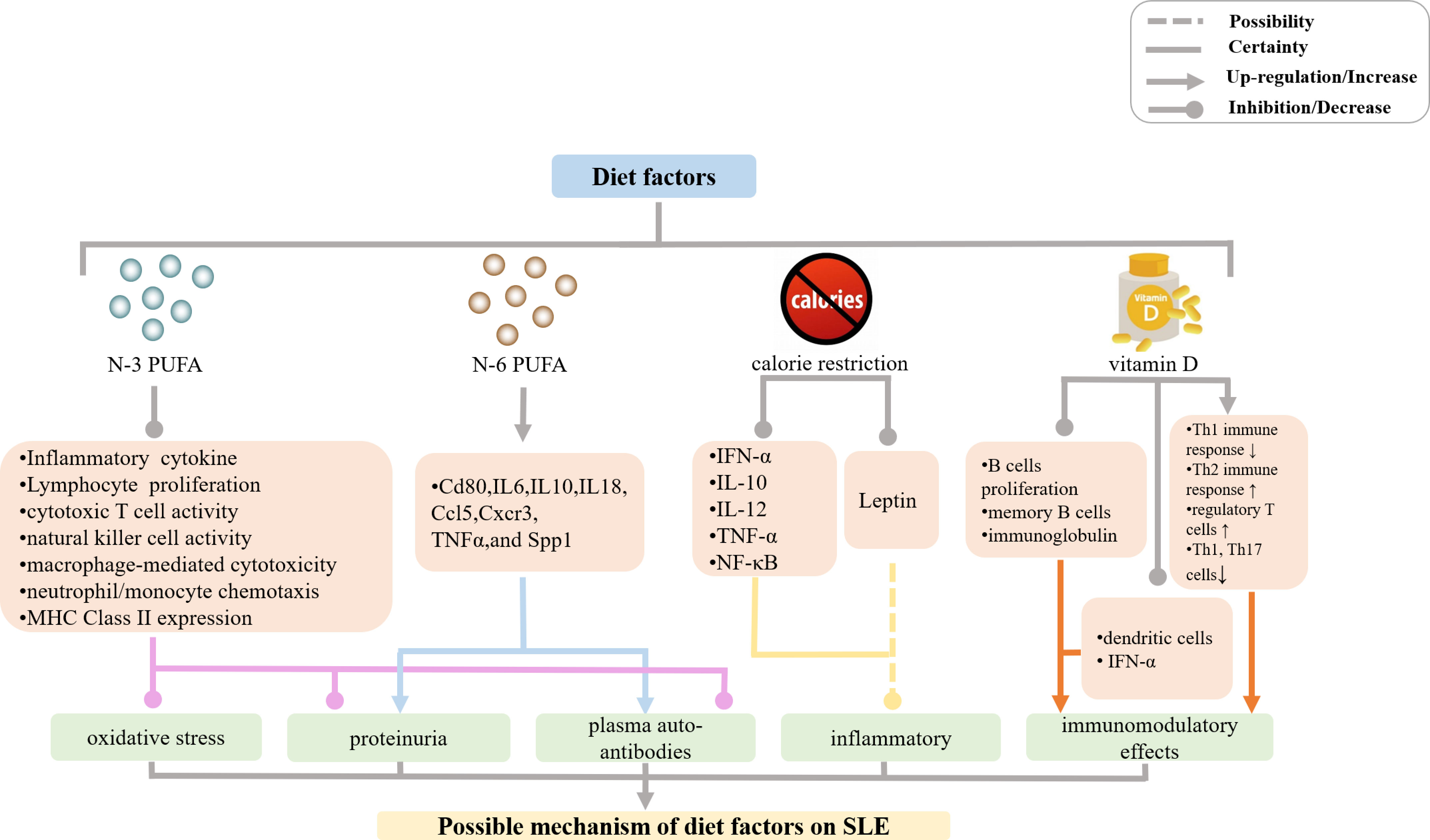 Frontiers | Macrophage Polarization and Plasticity in Systemic Lupus ...