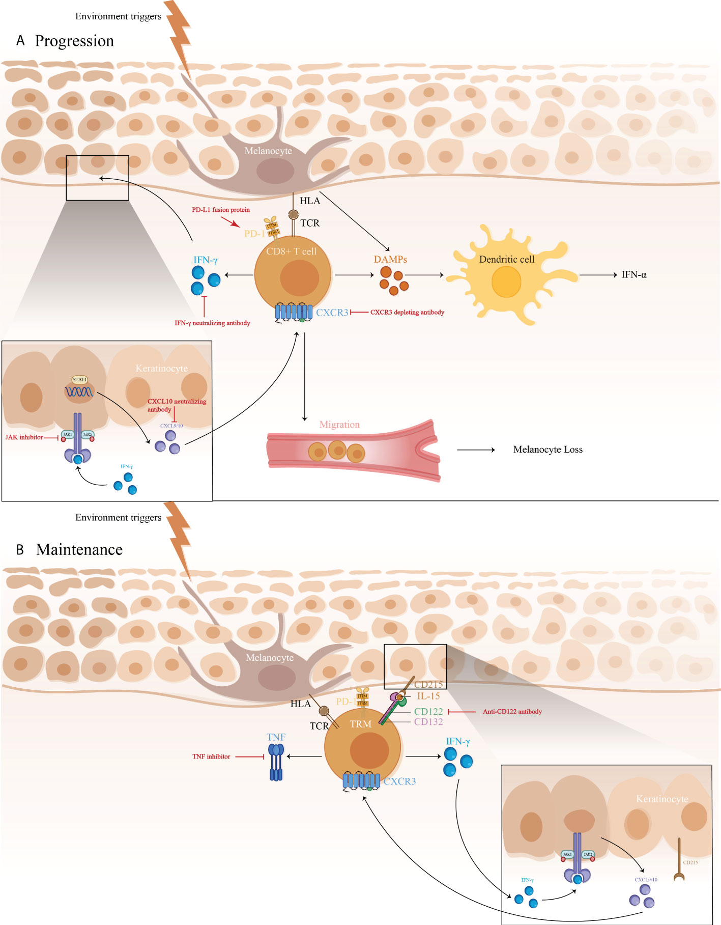 latest research in vitiligo treatment 2023