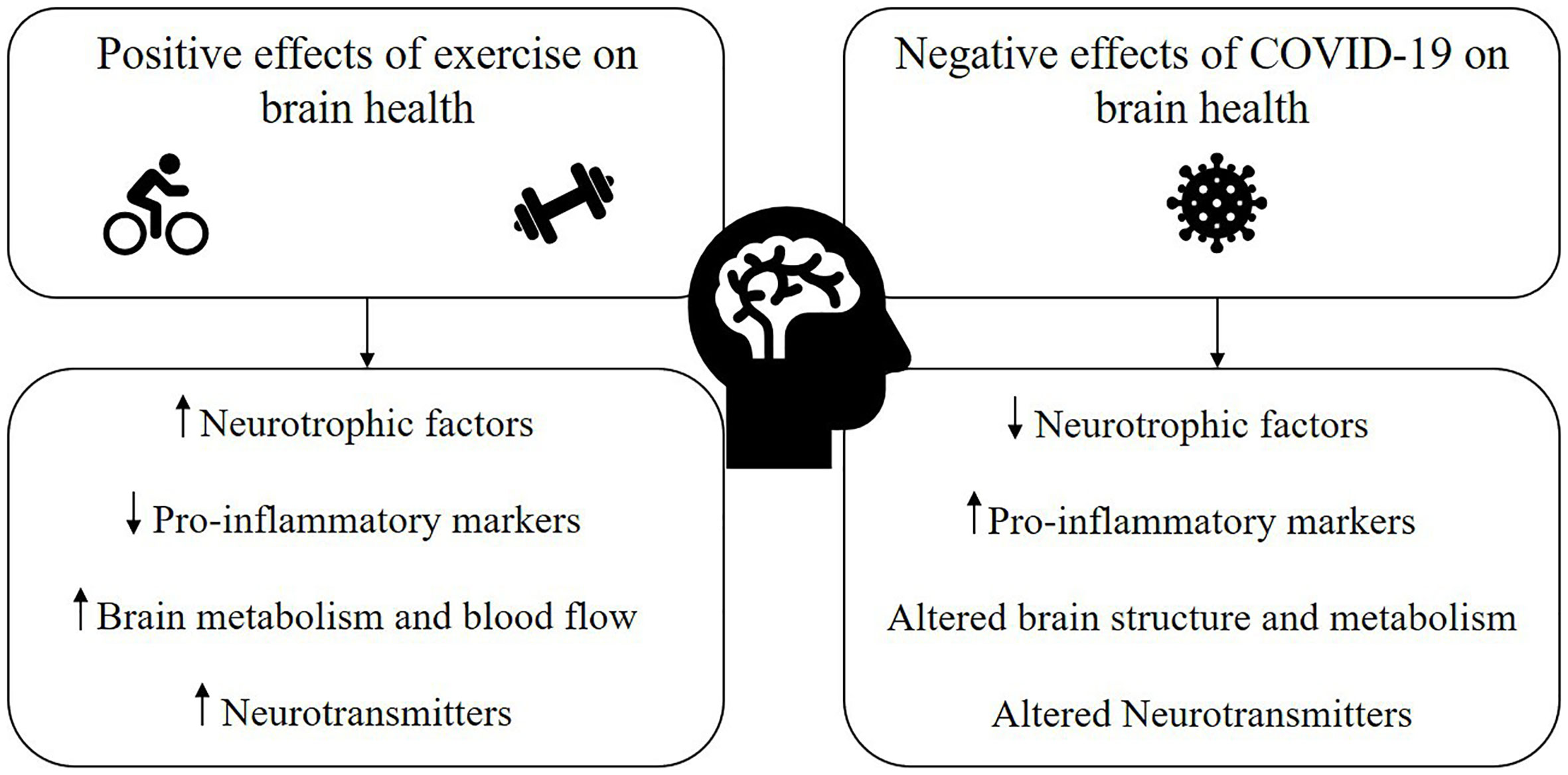 Behind the Scenes of Long COVID: Understanding the Causes of Exercise Intolerance - Neurological Factors