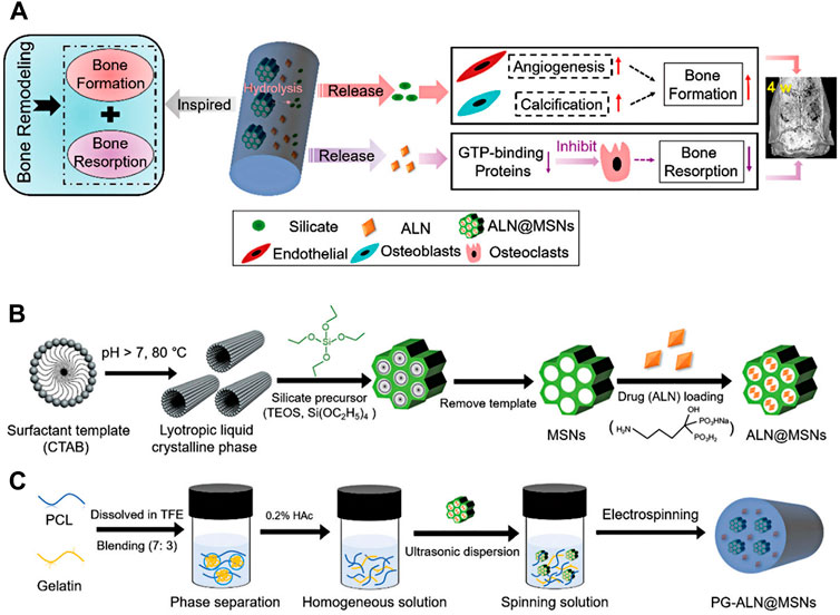 Nanofibers for Biomedical and Healthcare Applications - Rasouli