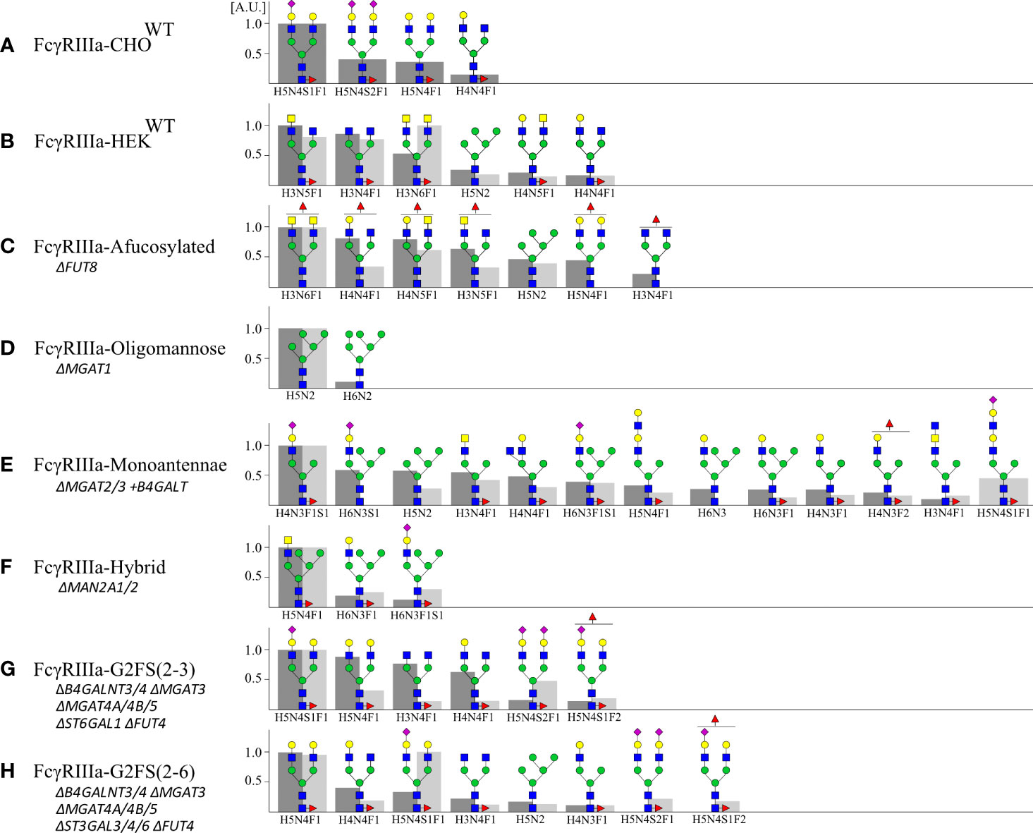 PDF) Cross-species higher sensitivities of FcγRIIIA/FcγRIV to afucosylated  IgG for enhanced ADCC