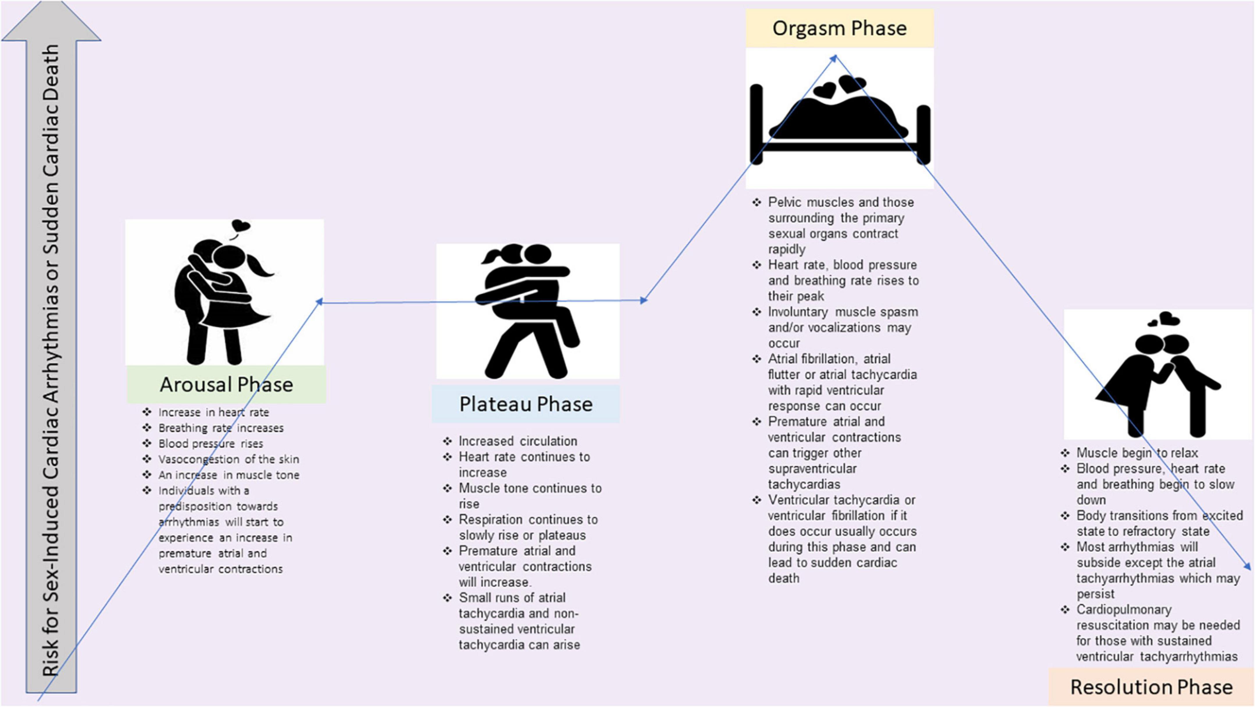 Frontiers Sex Rhythm And Death The Effect Of Sexual Activity On Cardiac Arrhythmias And Sudden