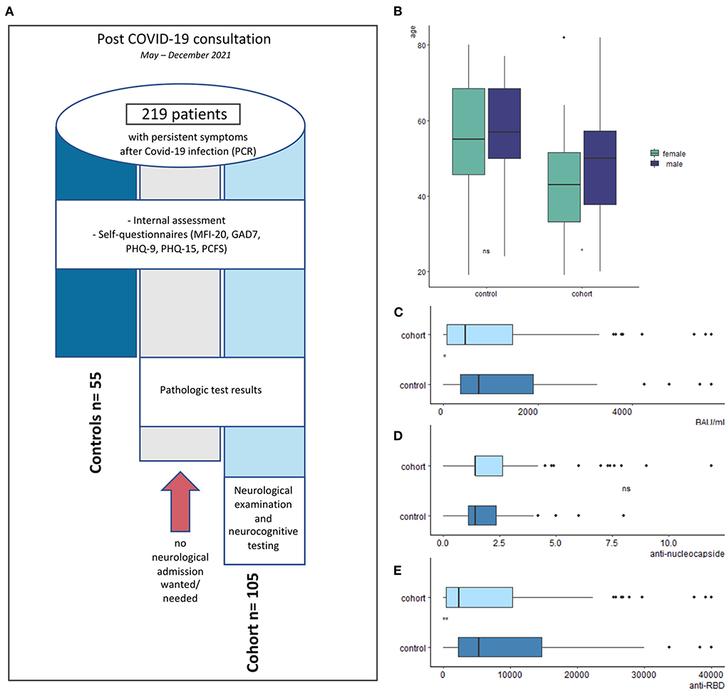 Frontiers  Cognitive impairment after long COVID-19: current evidence and  perspectives