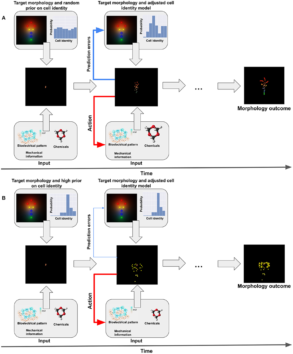 The scheme of learning on-the-fly. An active selection algorithm