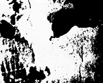 www.frontiersin.org