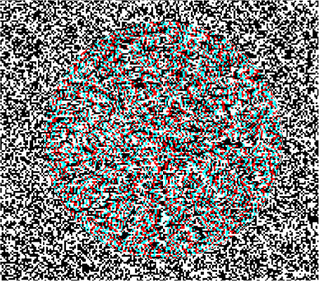 complex stereogram
