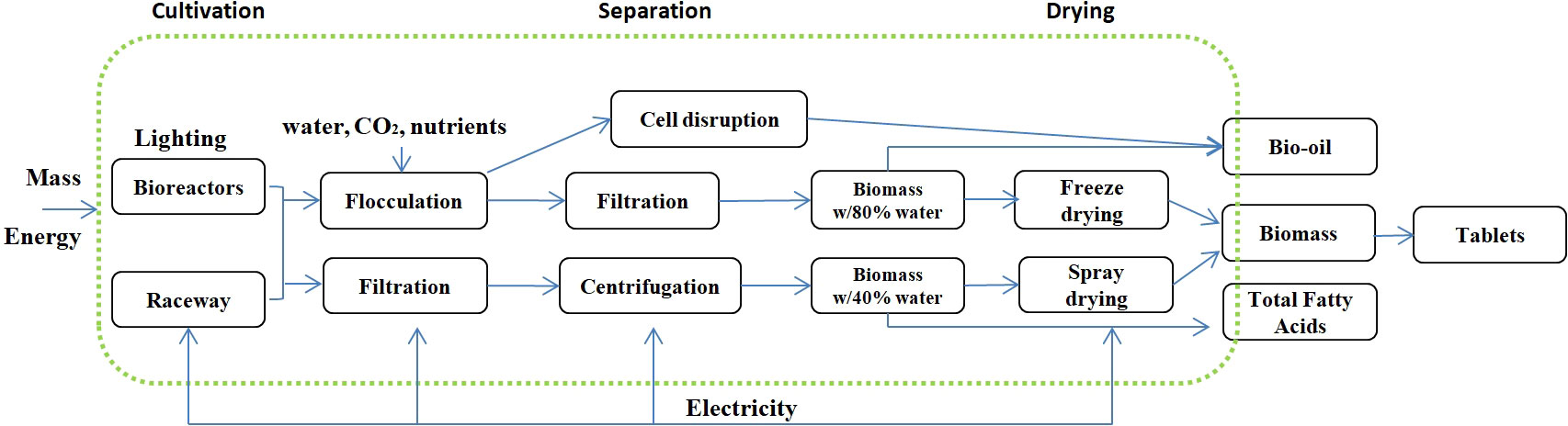 Environmental life cycle assessment of cascade valorisation strategies of  South African macroalga Ecklonia maxima using green extraction technologies  - ScienceDirect