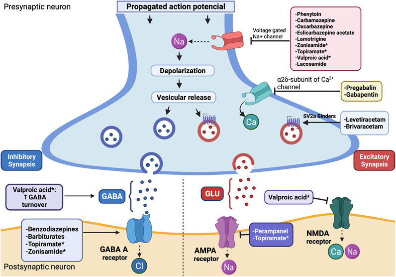 frontiers-epilepsy-treatment-in-neuro-oncology-a-rationale-for-drug