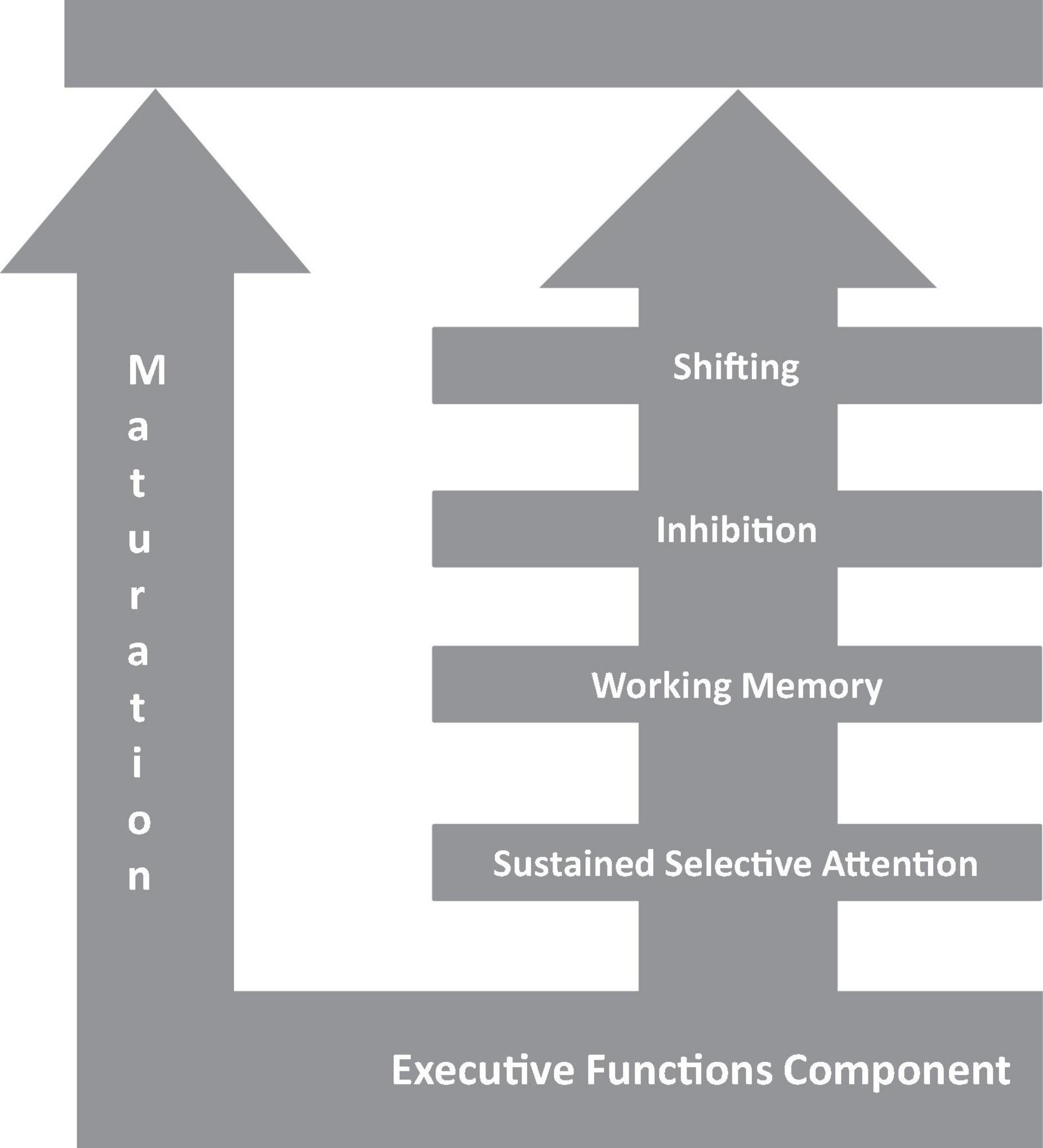 Synonyms for Analysis: Exploring Variations in Examination