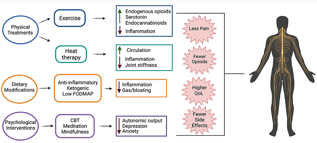 Potential Neuropathic Pain Treatment Shows Promise in Preclinical Tests, Newsroom