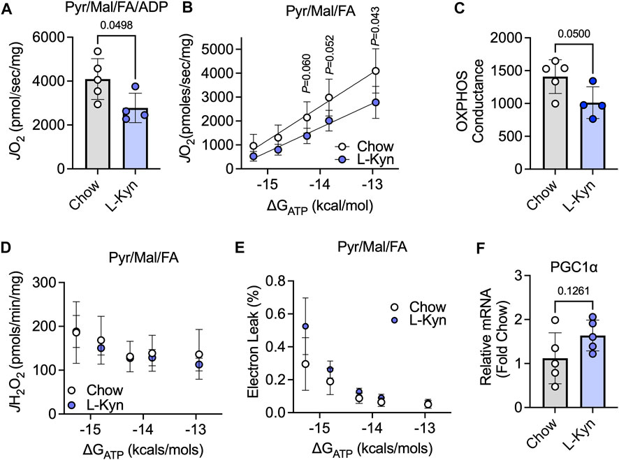 Frontiers | Increasing plasma L-kynurenine impairs mitochondrial