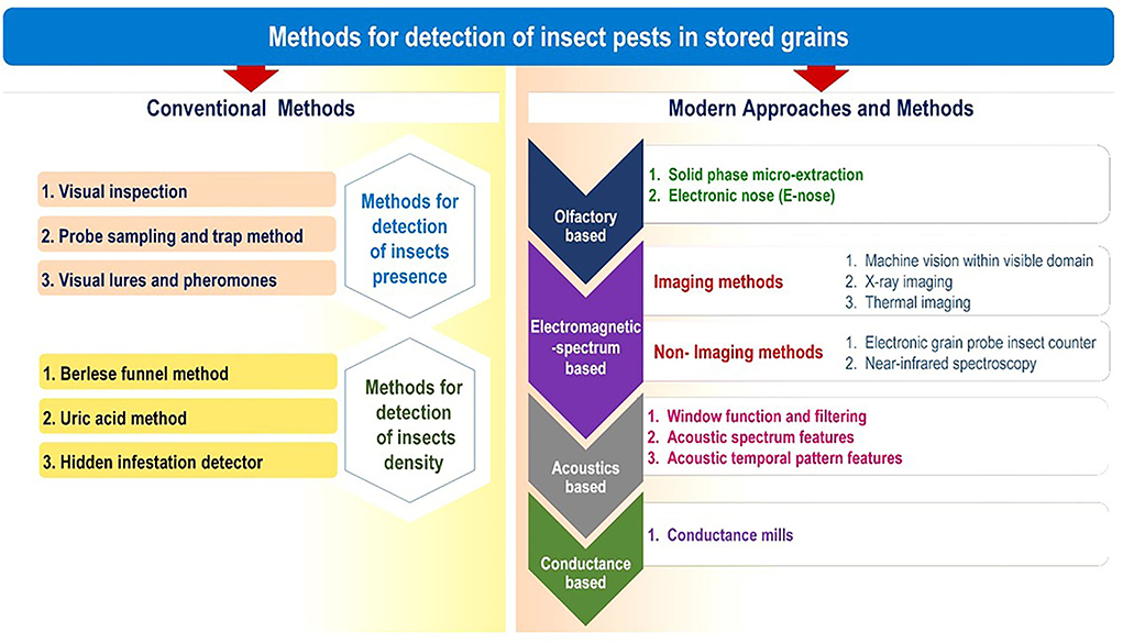 Comparing the Effectiveness of Different Grain Storage Bags