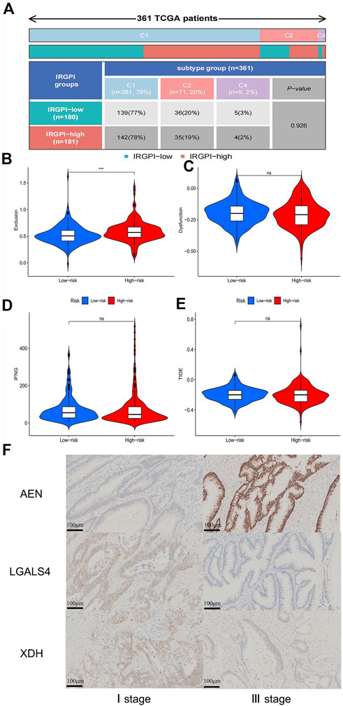 Frontiers | Construction of a prognostic assessment model