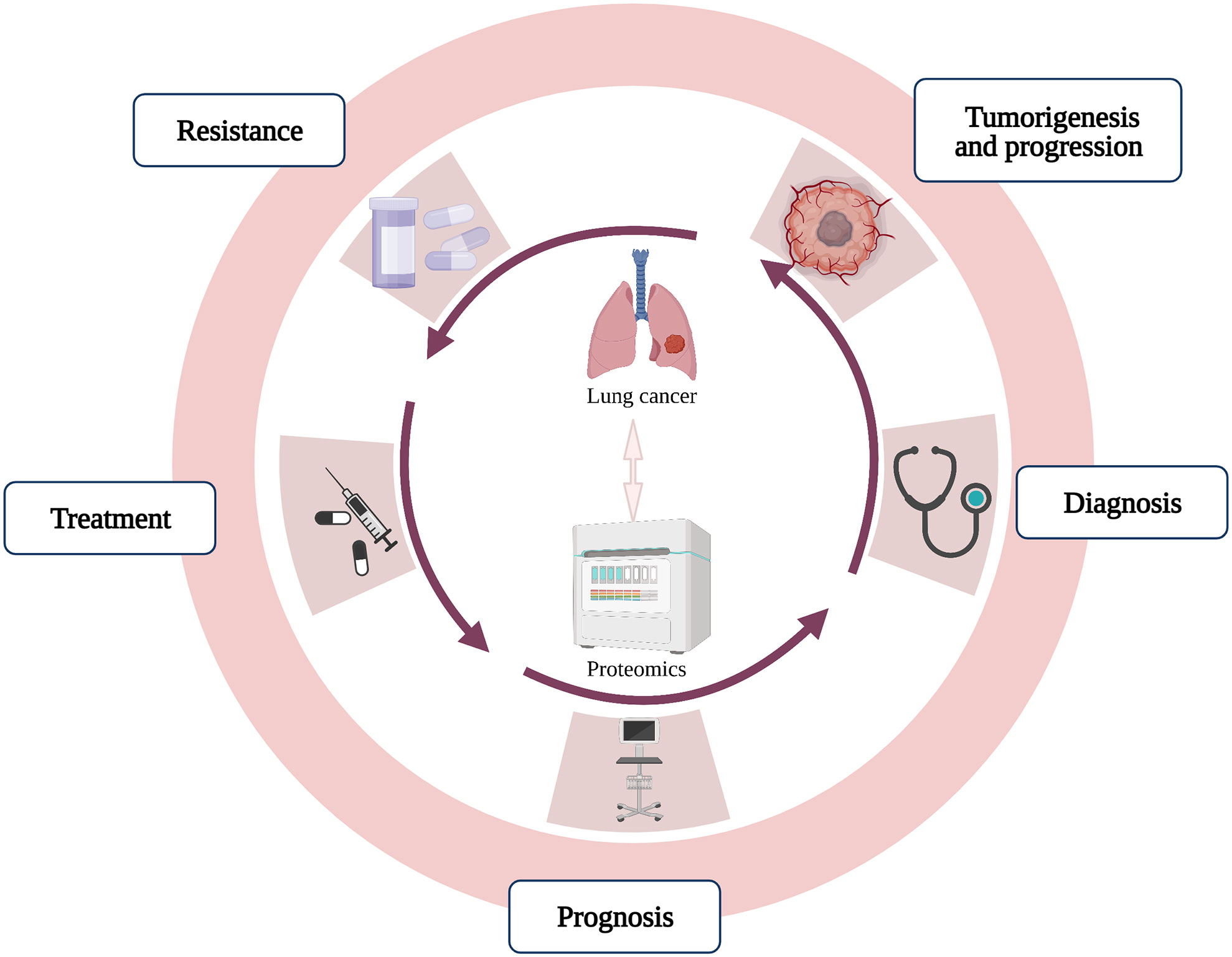 Frontiers | Advances in the application of proteomics in Frontiers | Advances in the application of proteomics in