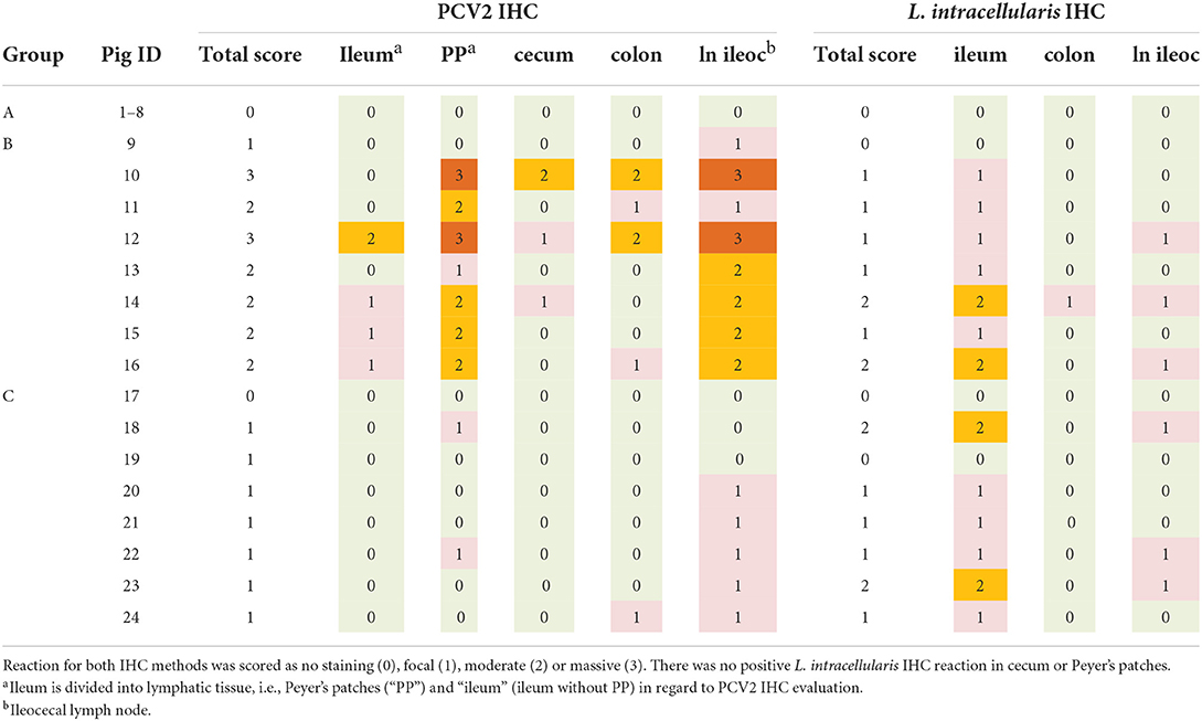 Frontiers  Porcine circovirus type 3: immunohistochemical detection in  lesions of naturally affected piglets