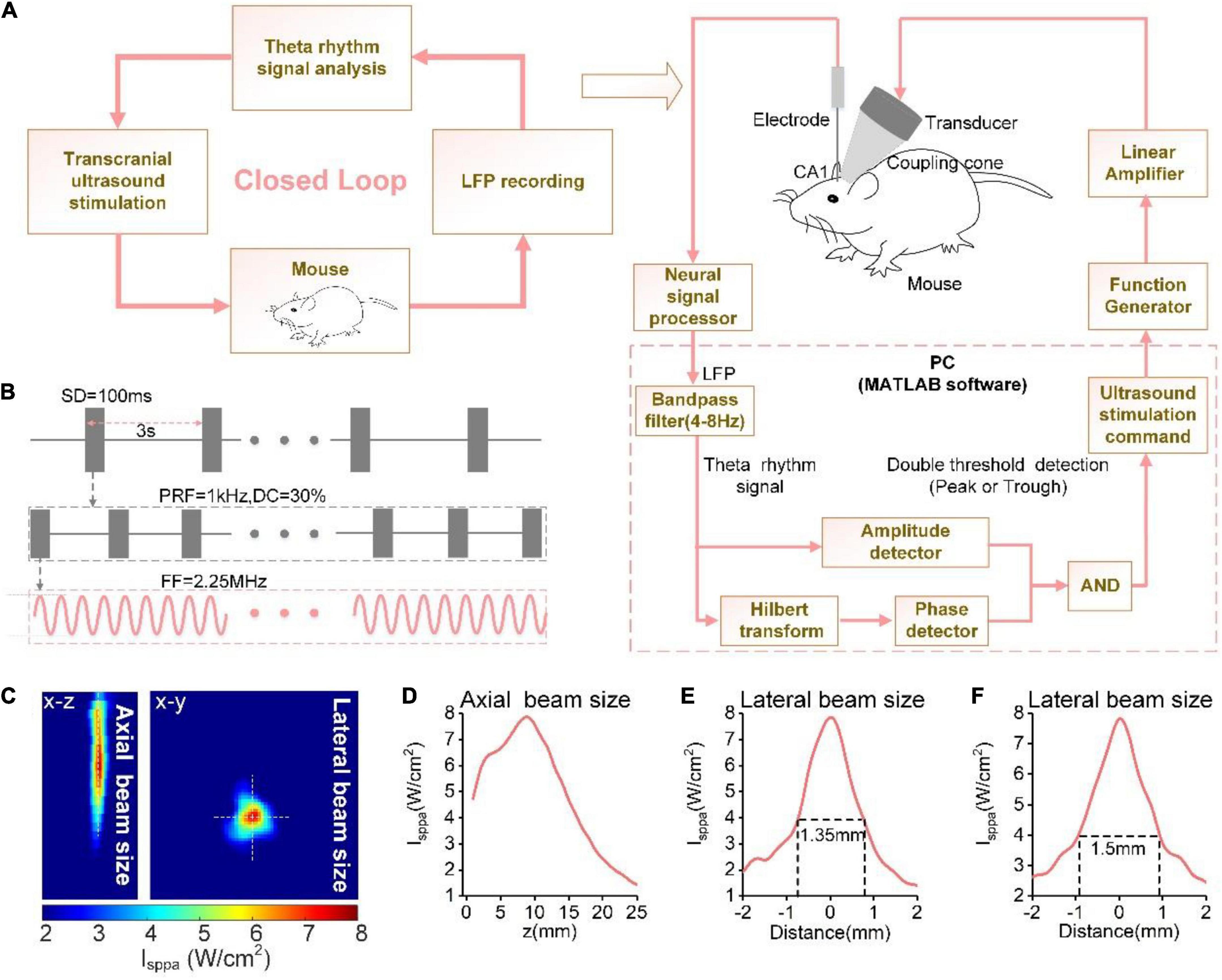 Frequency-specific neuromodulation of local and distant