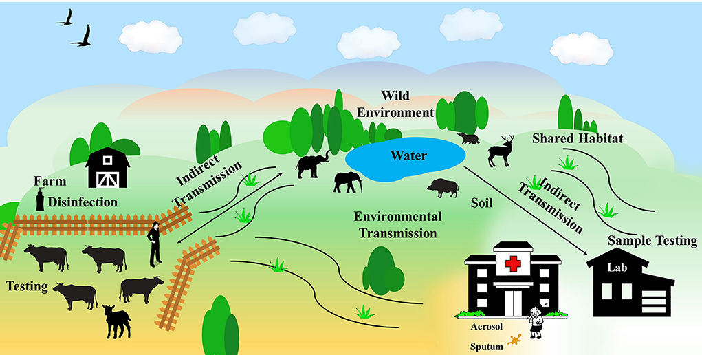 A systems epidemiology approach to TB research.