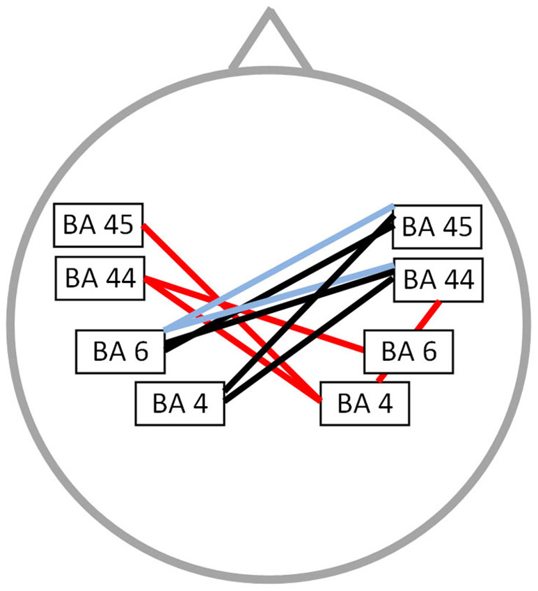 Frontiers | Functional connectivity changes in adults with