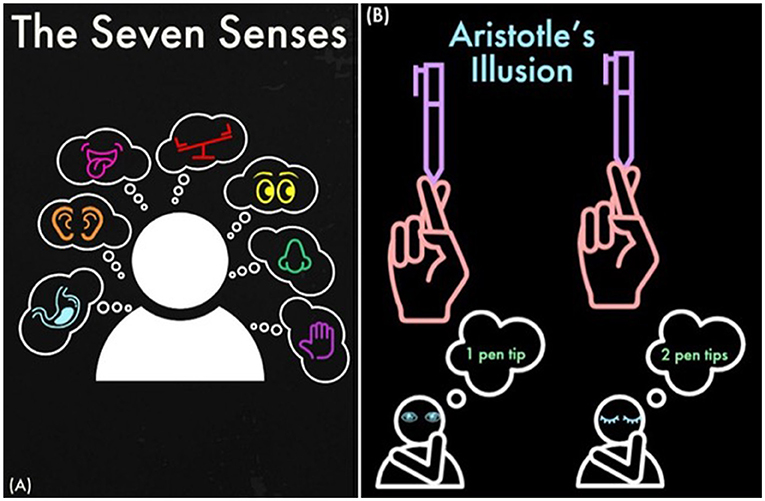 Figure 1 - (A) The seven senses, pictured from left to right, are: visceral, hearing, taste, vestibular, sight, smell, and touch.