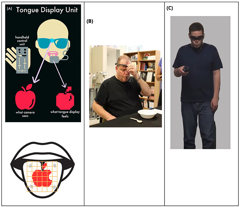 Figure 3 - (A) The camera of a TDU records a live feed of the apple.