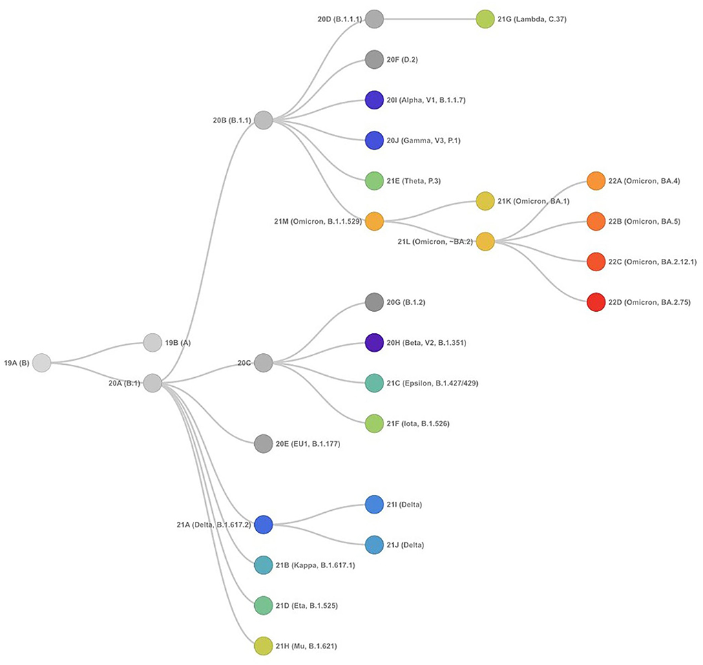 Frontiers | SARS-CoV-2 variants: Impact on biological and clinical outcome