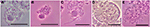 www.frontiersin.org
