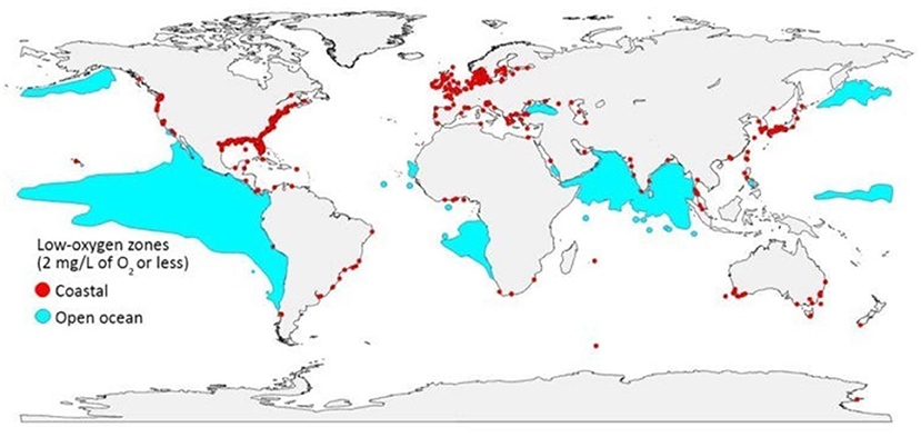 Figure 1 - Wastewater pollution results in multiple environmental problems.
