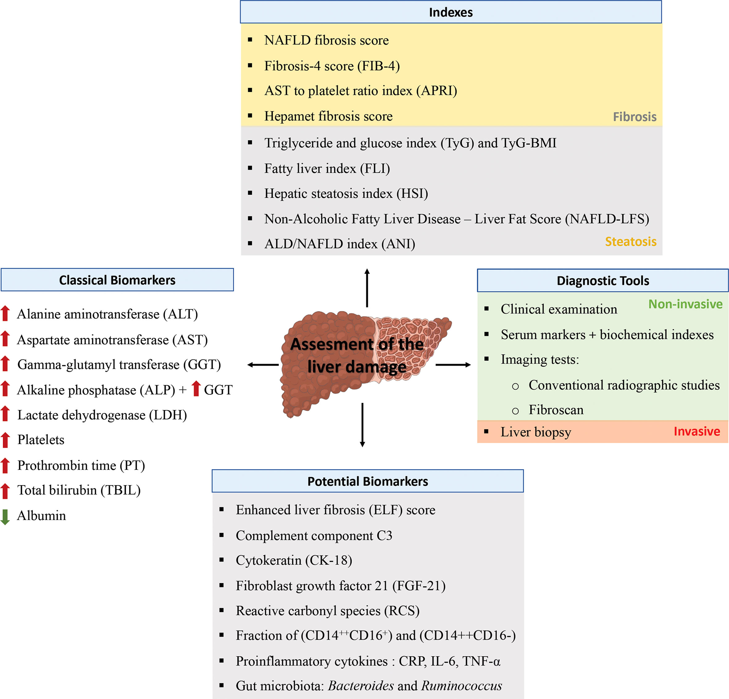 Frontiers Nonalcoholic Fatty Liver Disease In Inflammatory Arthritis 
