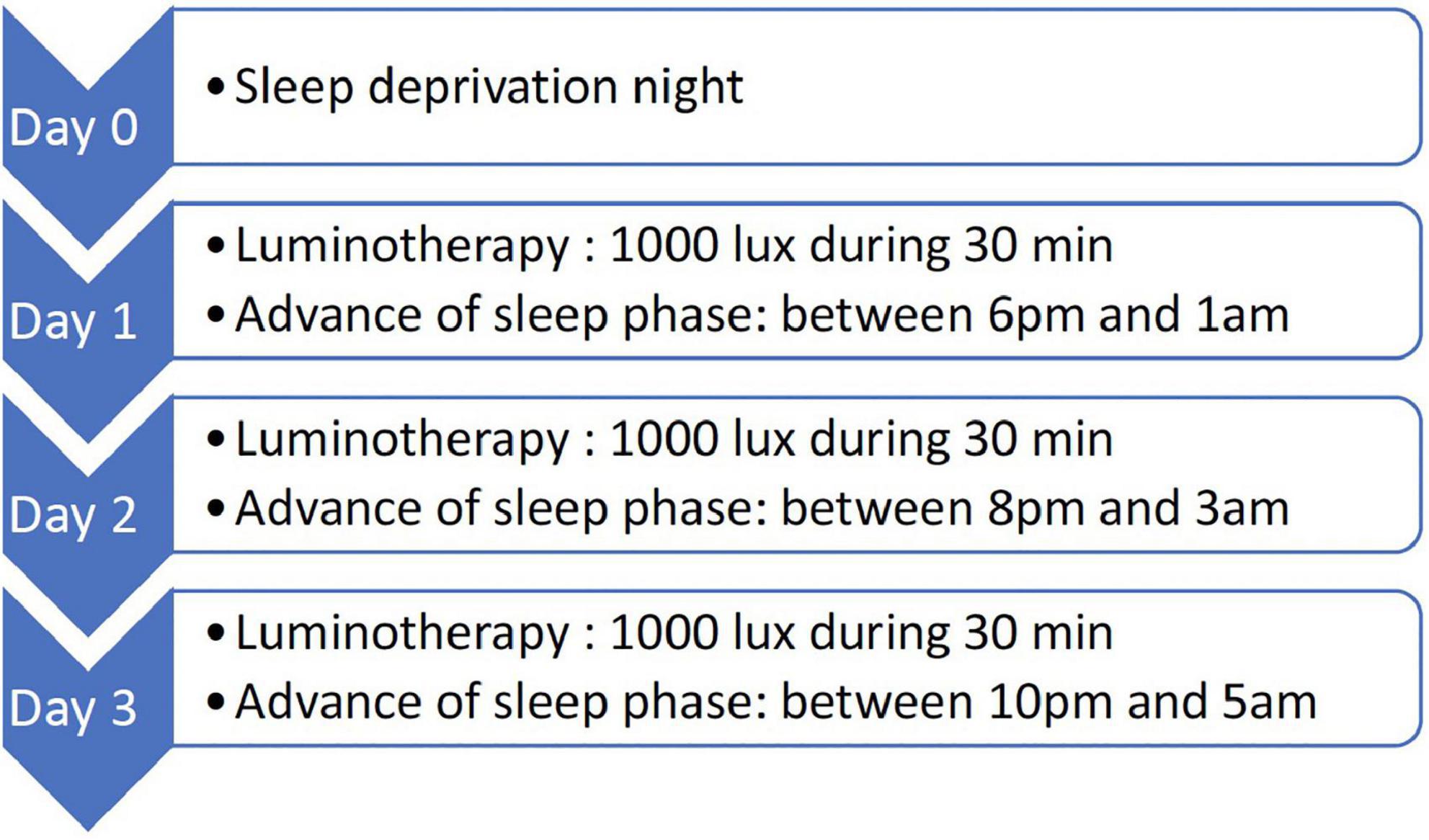 Always Zzz Overnight Period Undwr Lg - 3 CT - Shaw's