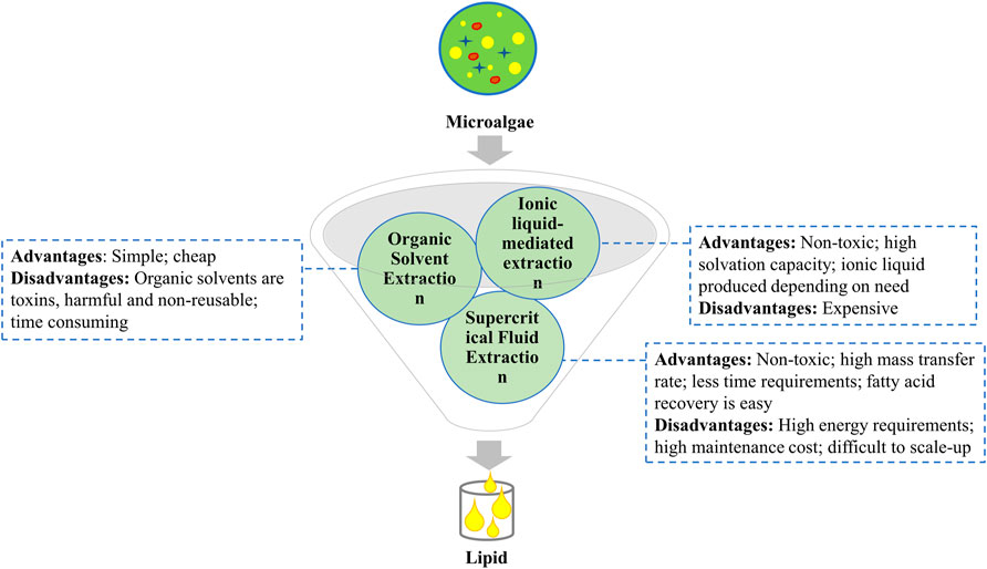 Biochemical biorefinery: A low-cost and non-waste concept for