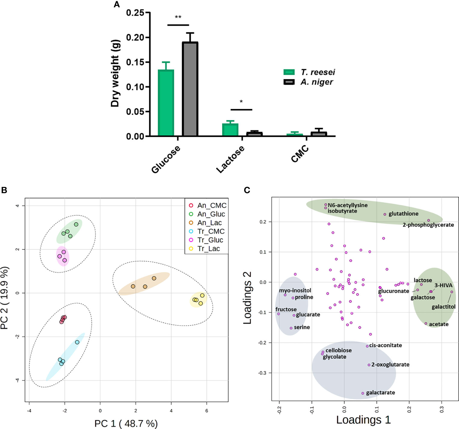 Frontiers  Proteomic and Metabolomic Profiling of Deinococcus