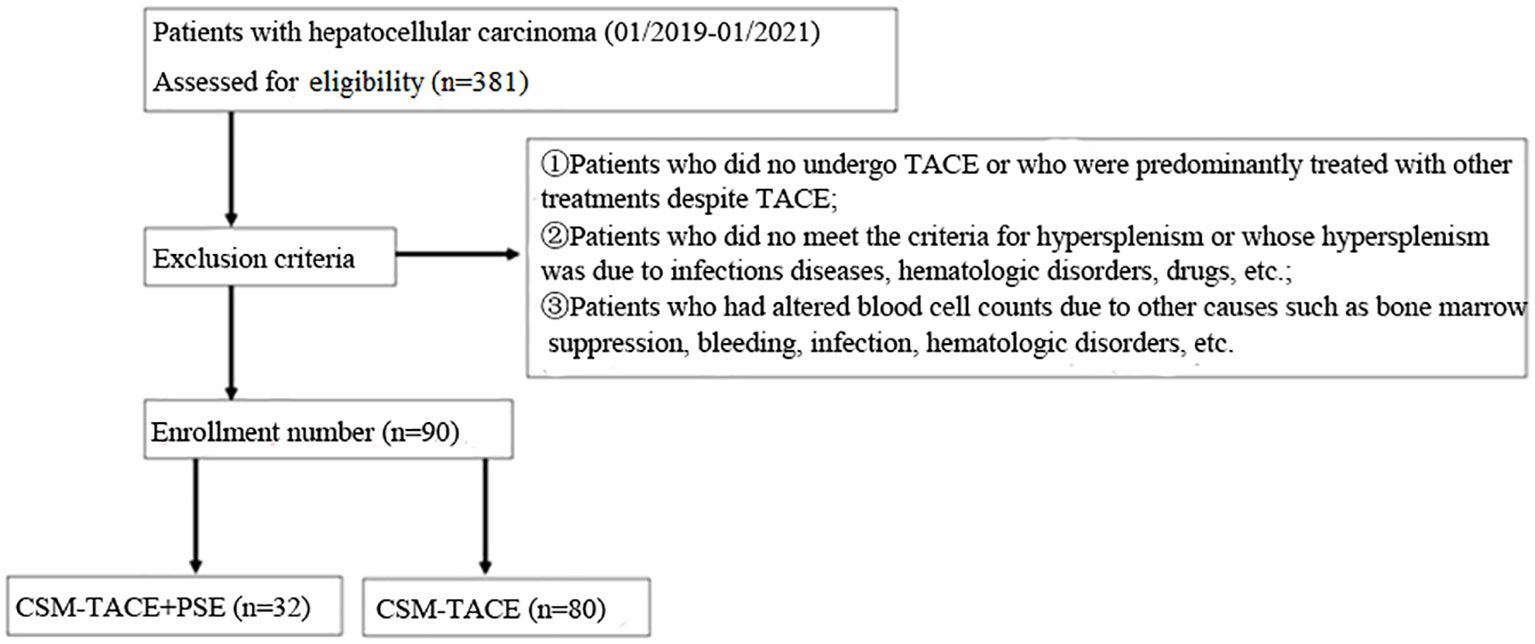 Frontiers | Simultaneous CSM‐TACE with CalliSpheres® and partial ...