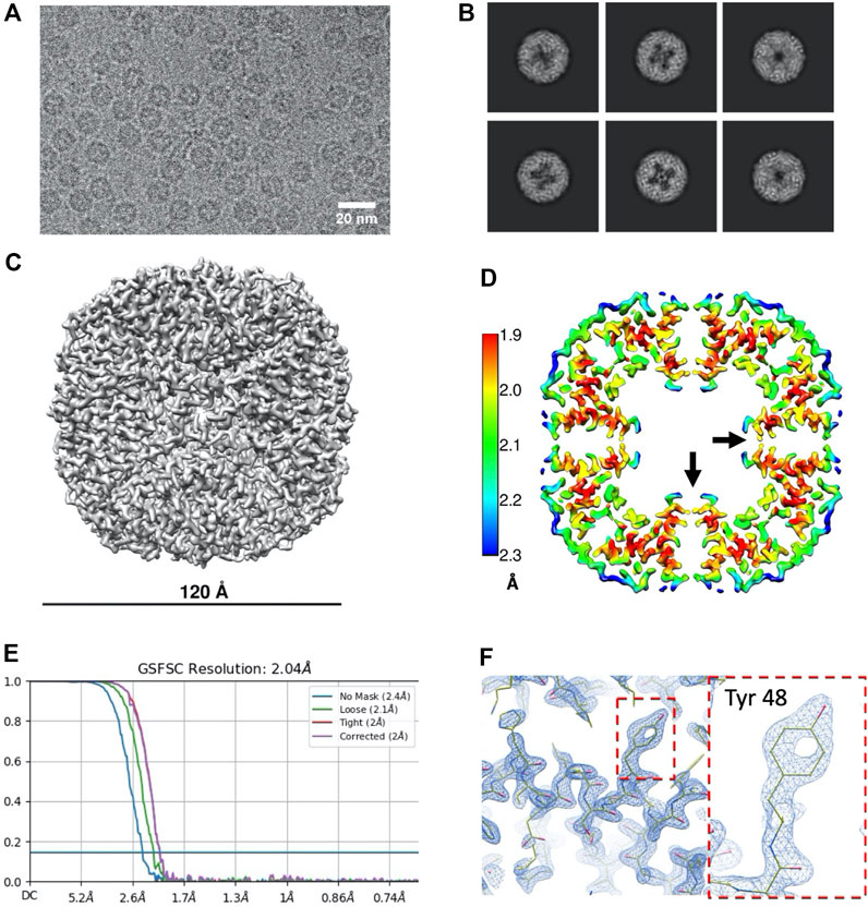 Frontiers  Molecular Dynamics to Predict Cryo-EM: Capturing