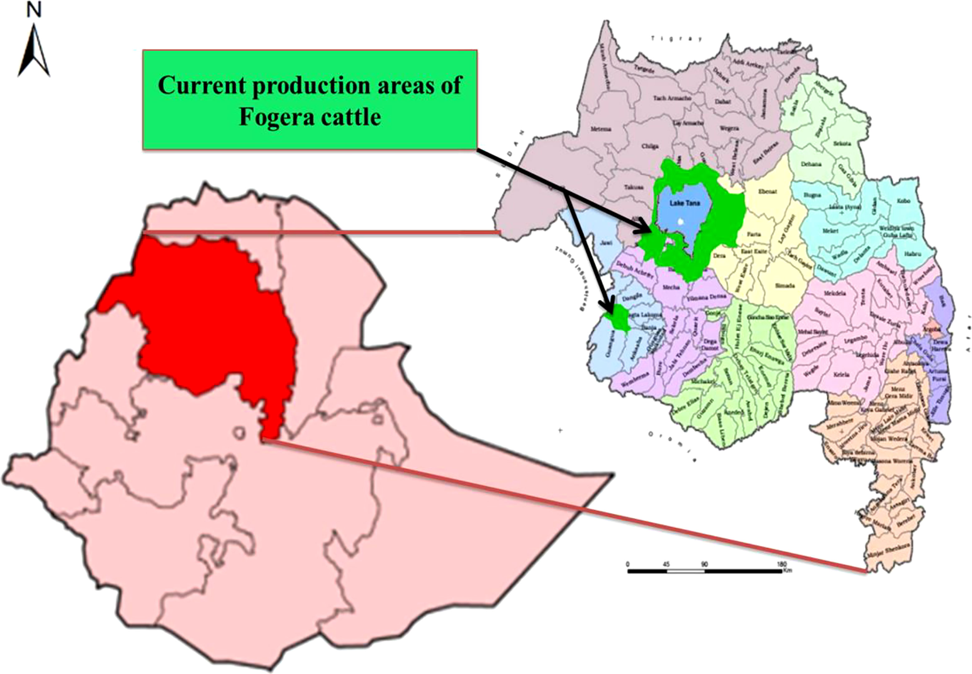 www.frontiersin.org