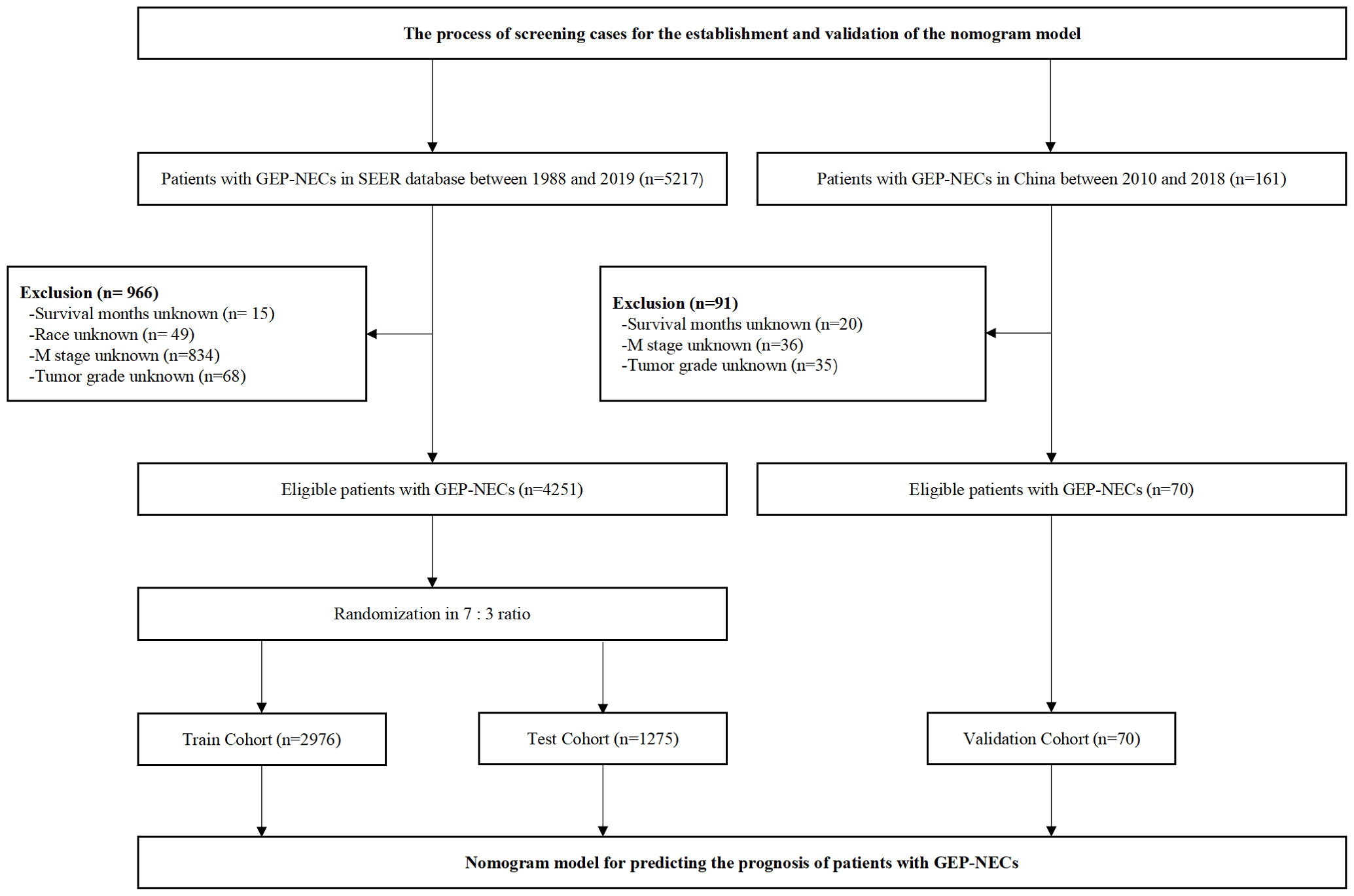 Clinicopathological Characteristics and Prognosis of 91 Patients