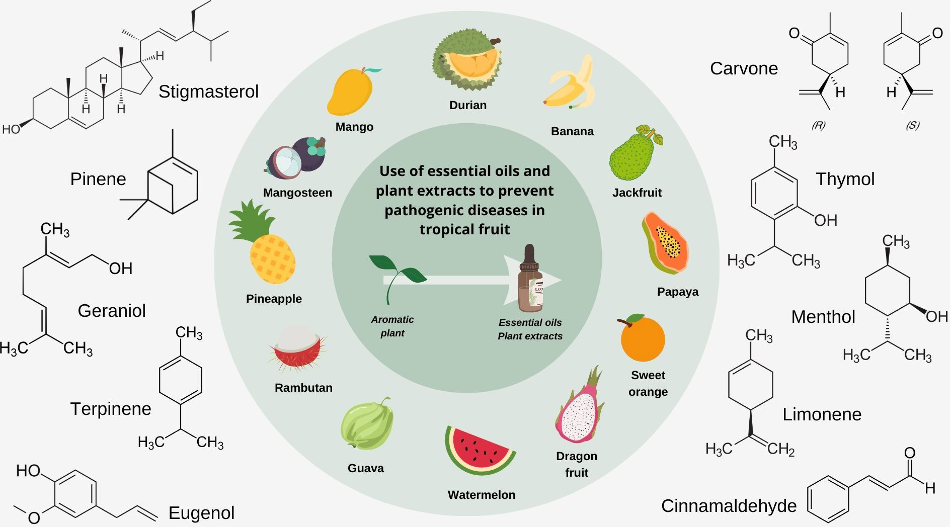 Are Essential Oils Edible? - National Nutrition Articles