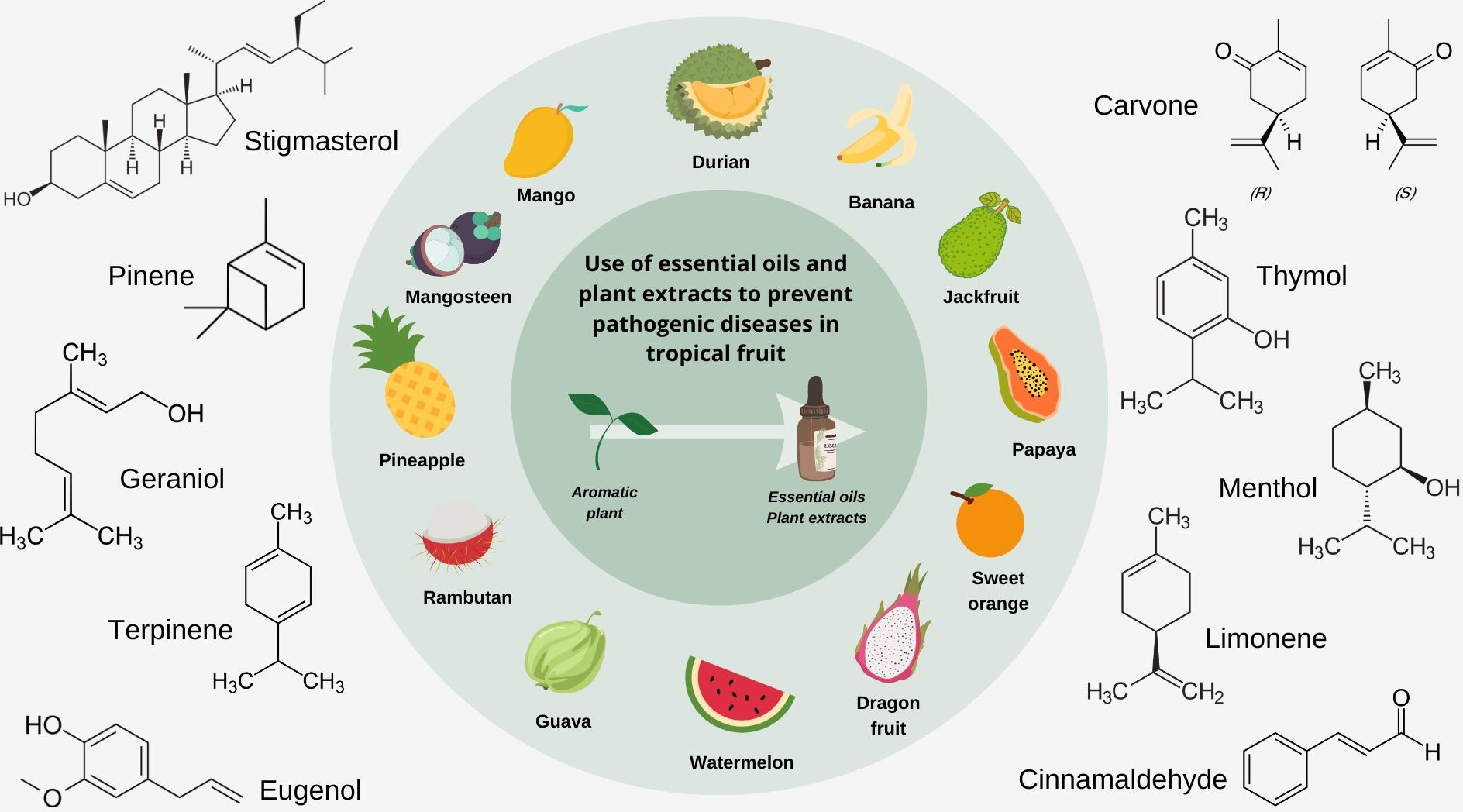 Frontiers Essential Oils And Plant Extracts For Tropical Fruits 