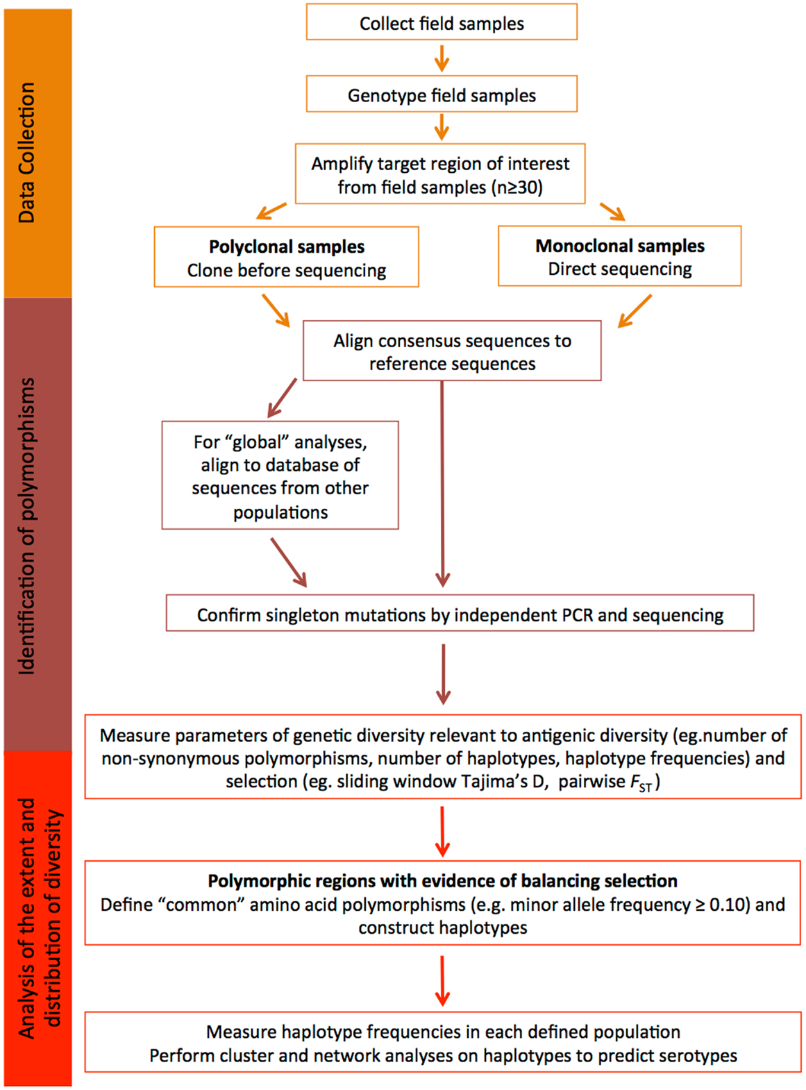 Malaria Identification Chart