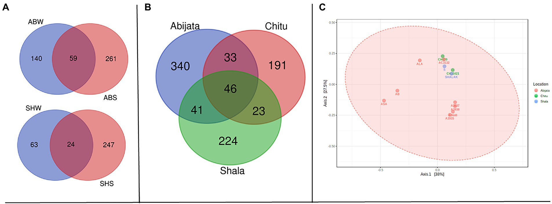 Frontiers | Prokaryotic and eukaryotic microbial diversity from three ...