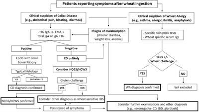 Diagnose gluten intolerance symptoms