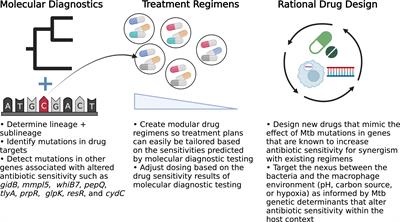 Population genomics confirms acquisition of drug-resistant