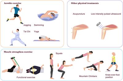 400px x 263px - Frontiers | Physical therapy as a promising treatment for osteoarthritis: A  narrative review
