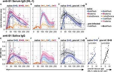 Frontiers | mRNA vaccines against SARS-CoV-2 induce comparably low long-term IgG Fc galactosylation and sialylation levels but increasing long-term IgG4 responses compared to an adenovirus-based...