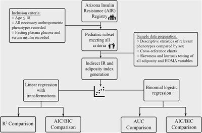 Frontiers | A performance of adiposity indices for assessing insulin resistance in a pediatric population