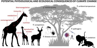 Frontiers | Editorial: Mammalian responses to climate change: From organisms to communities Frontiers | Editorial: Mammalian responses to climate change: From organisms to communities